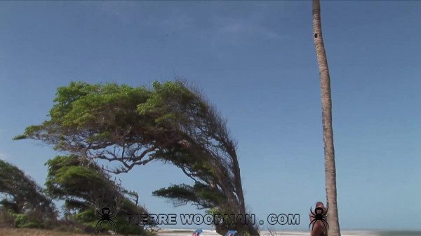 Divinity Love And Zafira Klass - XXXX - Brazil + 1 Boy